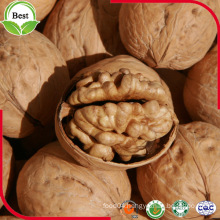 Good Quality Walnut with China Price